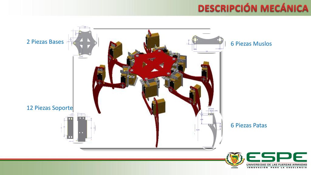DESCRIPCIÓN MECÁNICA 2 Piezas Bases 6 Piezas Muslos 12 Piezas Soporte