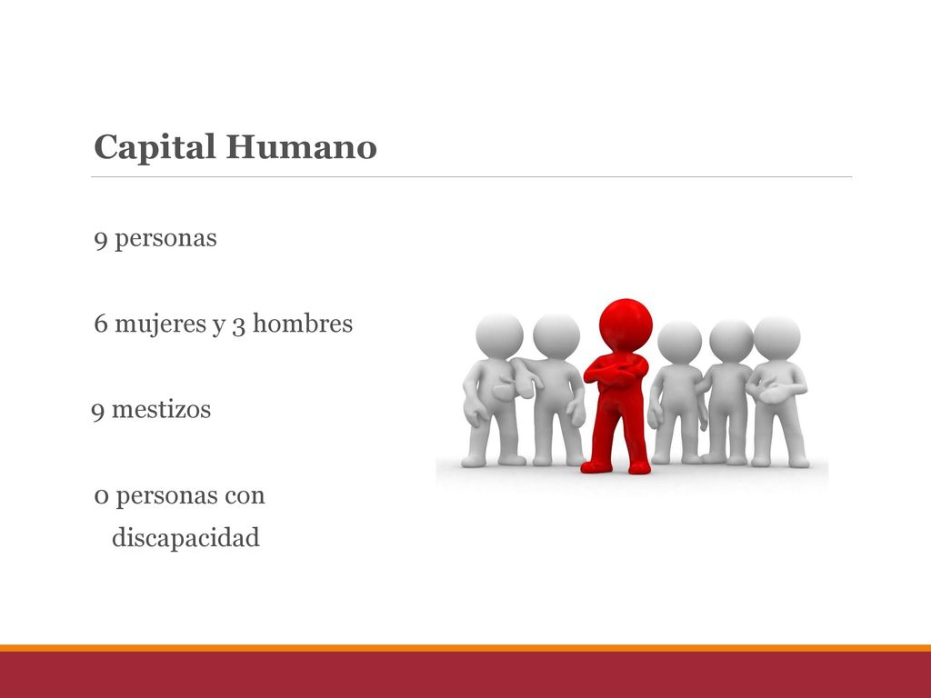 Capital Humano 9 personas 6 mujeres y 3 hombres 9 mestizos