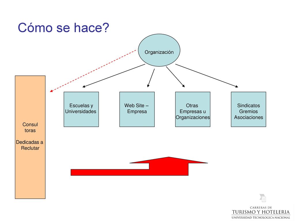 Cómo se hace Organización Consul toras Dedicadas a Reclutar
