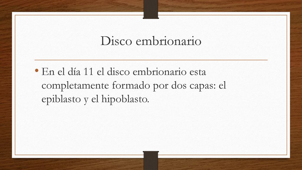 Disco embrionario En el día 11 el disco embrionario esta completamente formado por dos capas: el epiblasto y el hipoblasto.
