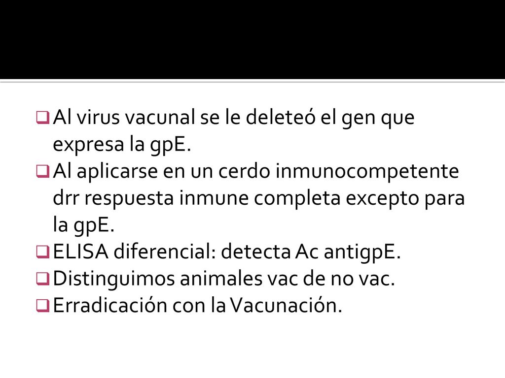 Al virus vacunal se le deleteó el gen que expresa la gpE.