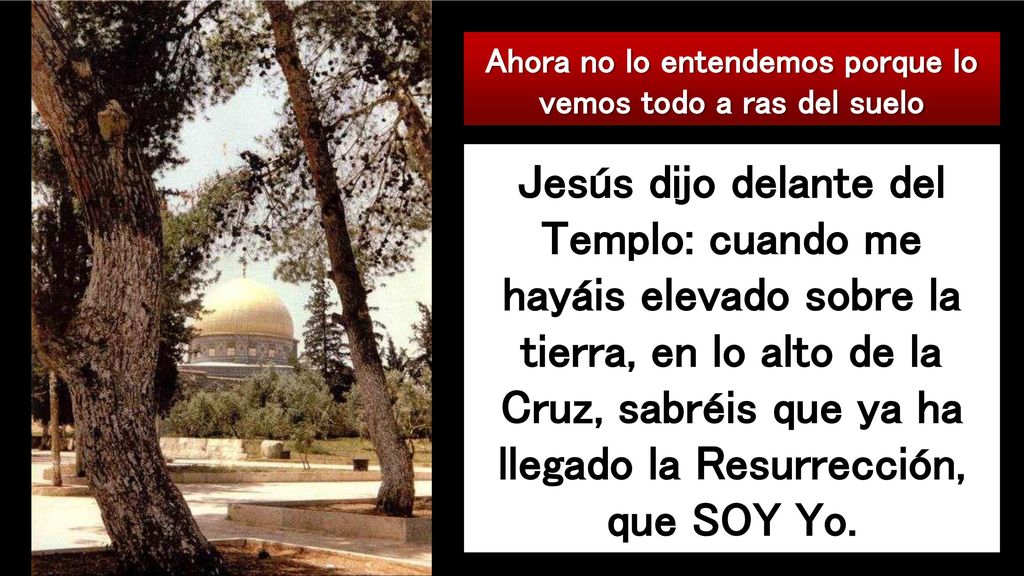 Ahora no lo entendemos porque lo vemos todo a ras del suelo