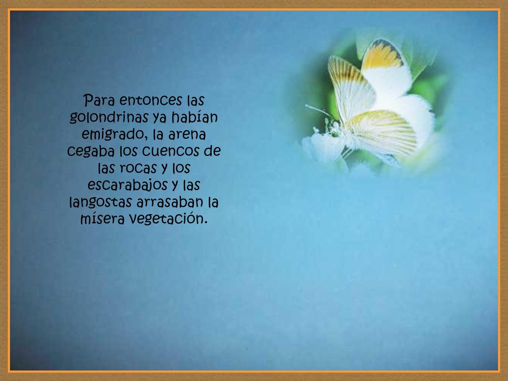 Para entonces las golondrinas ya habían emigrado, la arena cegaba los cuencos de las rocas y los escarabajos y las langostas arrasaban la mísera vegetación.