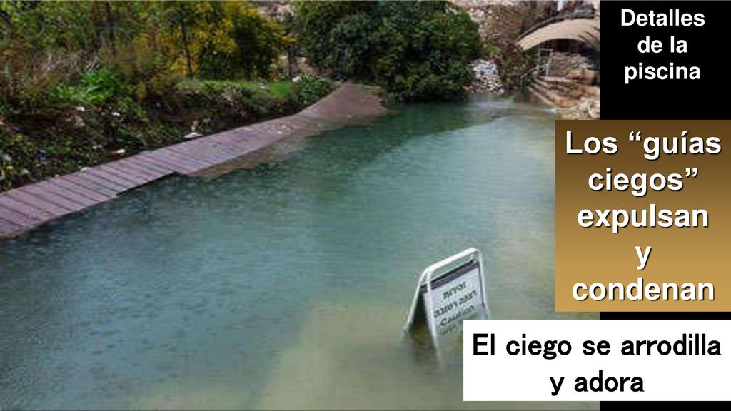 Los guías ciegos expulsan El ciego se arrodilla y adora