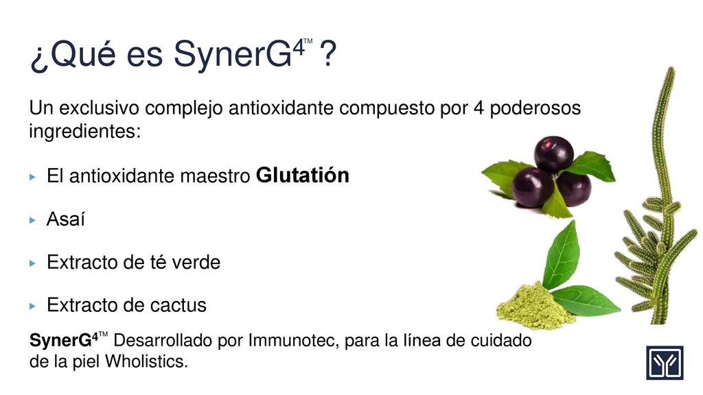 ¿Qué es SynerG4 TM. Un exclusivo complejo antioxidante compuesto por 4 poderosos ingredientes:
