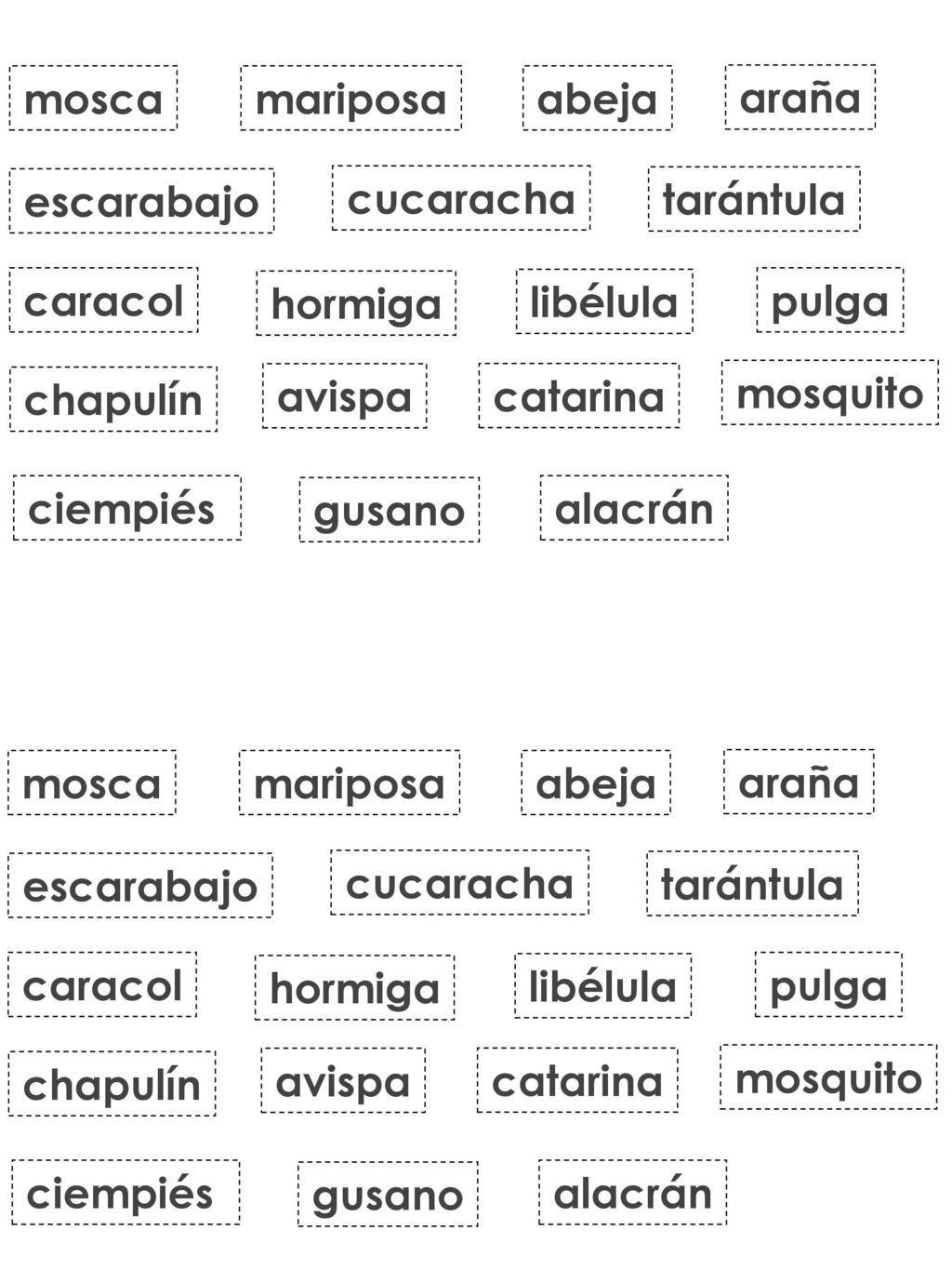 mosca mariposa. abeja. araña. escarabajo. cucaracha. tarántula. caracol. hormiga. libélula.