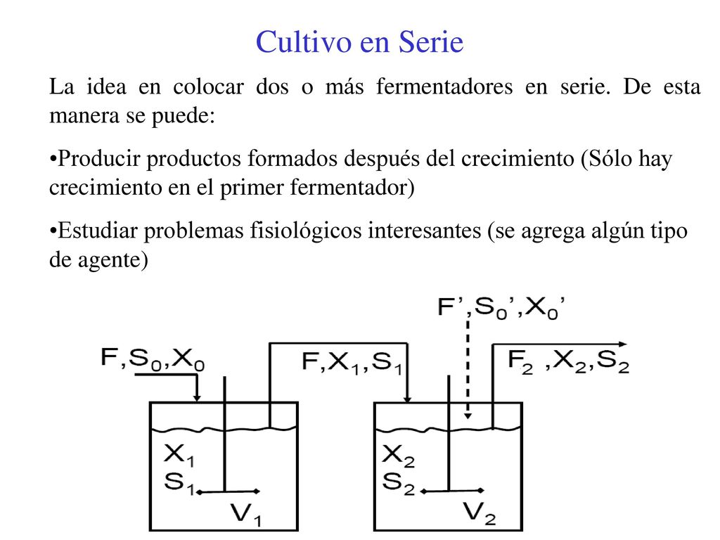 Cultivo en Serie La idea en colocar dos o más fermentadores en serie. De esta manera se puede: