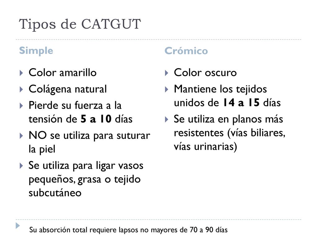 Tipos de CATGUT Color amarillo Colágena natural