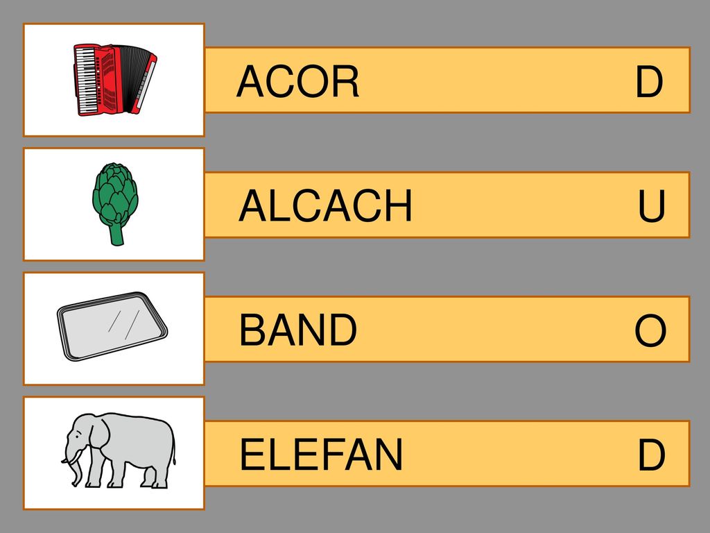ACOR D ALCACH U BAND O ELEFAN D