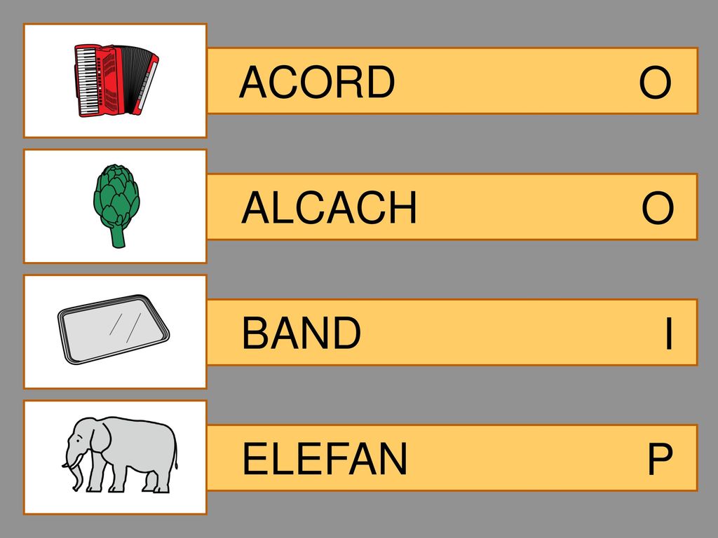 ACORD O ALCACH O BAND I ELEFAN P