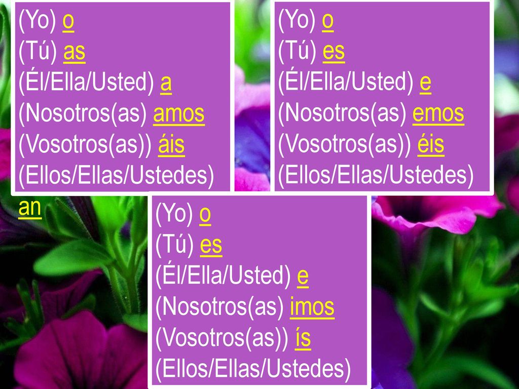 (Yo) o (Tú) as. (Él/Ella/Usted) a. (Nosotros(as) amos. (Vosotros(as)) áis. (Ellos/Ellas/Ustedes) an.