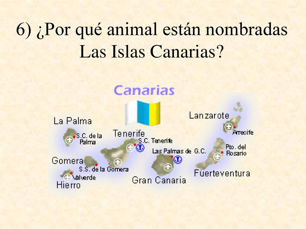 6) ¿Por qué animal están nombradas Las Islas Canarias