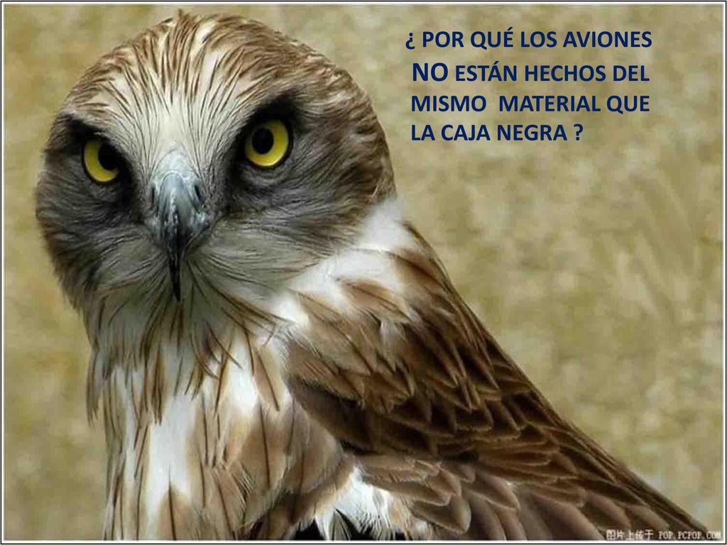 NO ESTÁN HECHOS DEL ¿ POR QUÉ LOS AVIONES MISMO MATERIAL QUE