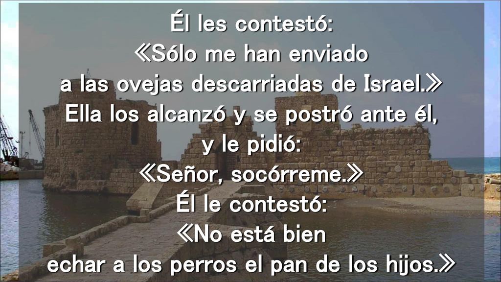 Él les contestó: «Sólo me han enviado a las ovejas descarriadas de Israel.» Ella los alcanzó y se postró ante él, y le pidió: «Señor, socórreme.» Él le contestó: «No está bien echar a los perros el pan de los hijos.»