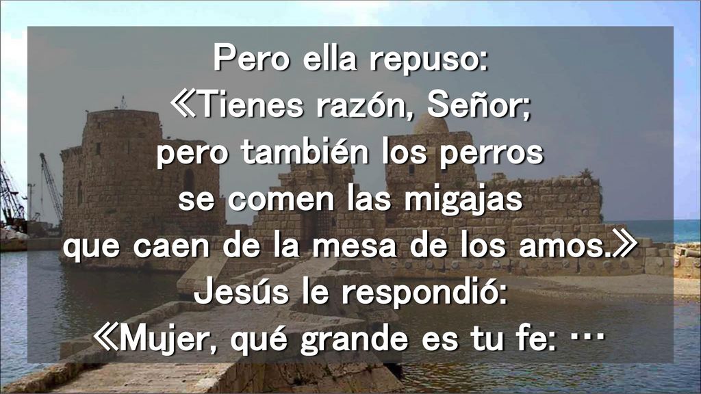 Pero ella repuso: «Tienes razón, Señor; pero también los perros se comen las migajas que caen de la mesa de los amos.» Jesús le respondió: «Mujer, qué grande es tu fe: …