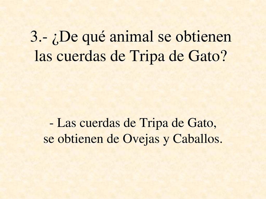 3.- ¿De qué animal se obtienen las cuerdas de Tripa de Gato