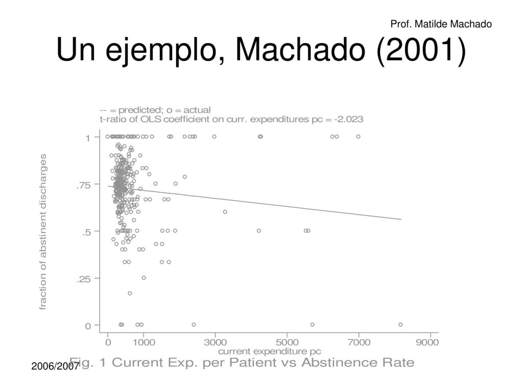 Un ejemplo, Machado (2001) Cada punto en el grafico es un programa en un trimestre. 2006/2007