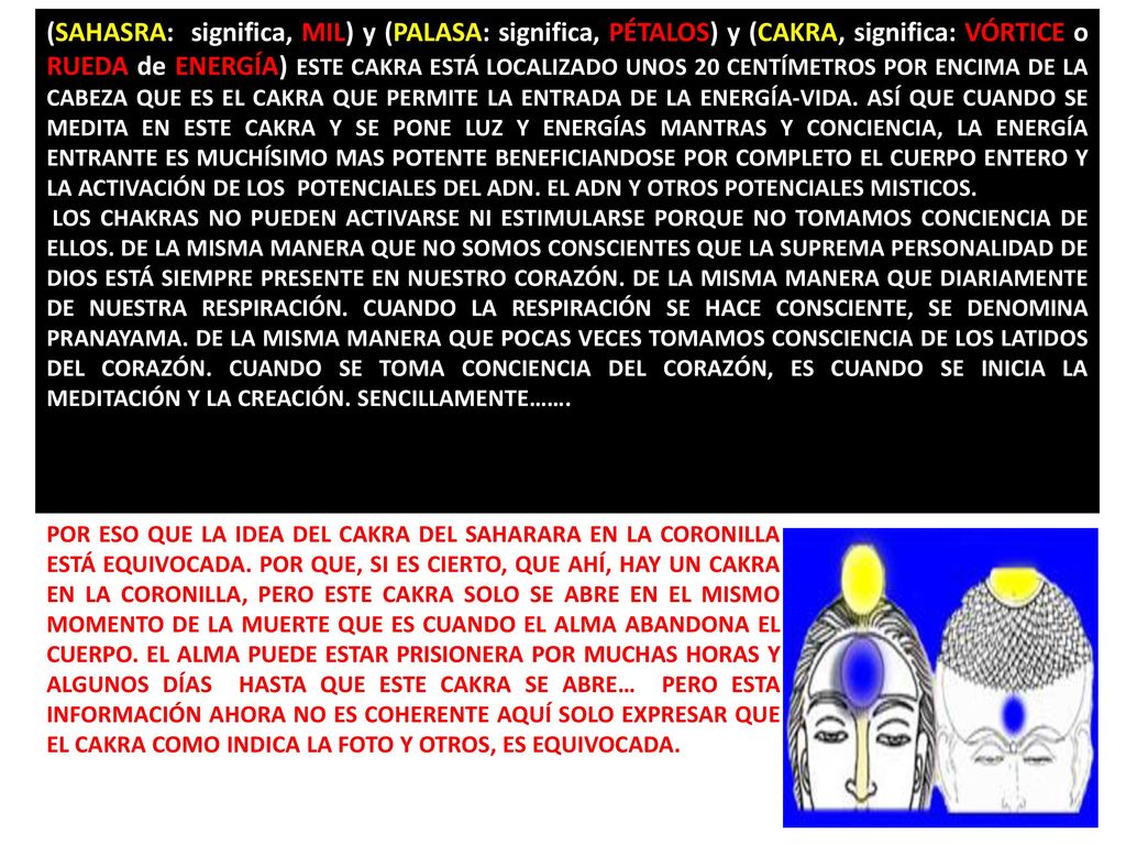 (SAHASRA: significa, MIL) y (PALASA: significa, PÉTALOS) y (CAKRA, significa: VÓRTICE o RUEDA de ENERGÍA) ESTE CAKRA ESTÁ LOCALIZADO UNOS 20 CENTÍMETROS POR ENCIMA DE LA CABEZA QUE ES EL CAKRA QUE PERMITE LA ENTRADA DE LA ENERGÍA-VIDA. ASÍ QUE CUANDO SE MEDITA EN ESTE CAKRA Y SE PONE LUZ Y ENERGÍAS MANTRAS Y CONCIENCIA, LA ENERGÍA ENTRANTE ES MUCHÍSIMO MAS POTENTE BENEFICIANDOSE POR COMPLETO EL CUERPO ENTERO Y LA ACTIVACIÓN DE LOS POTENCIALES DEL ADN. EL ADN Y OTROS POTENCIALES MISTICOS.