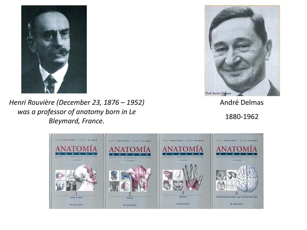 Henri Rouvière (December 23, 1876 – 1952) was a professor of anatomy born in Le Bleymard, France.