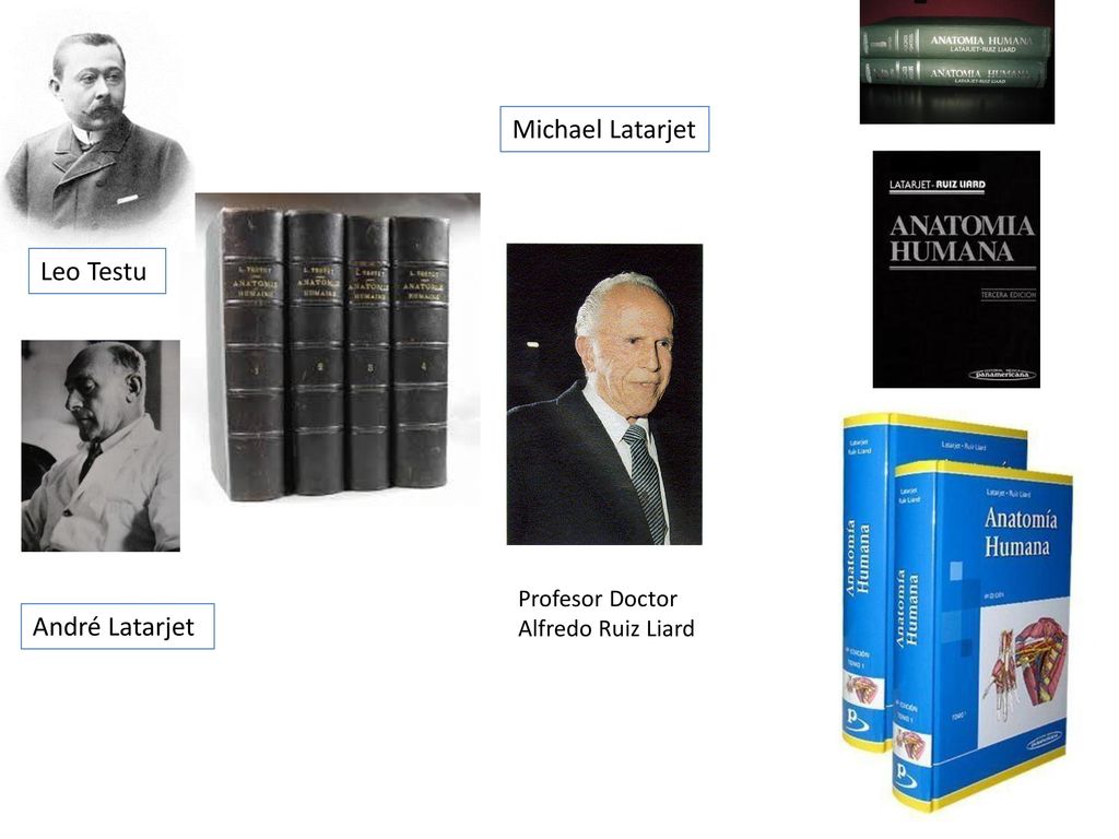 Michael Latarjet Leo Testu André Latarjet Profesor Doctor