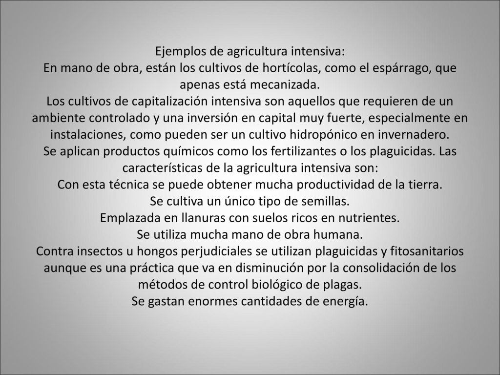 Ejemplos de agricultura intensiva: En mano de obra, están los cultivos de hortícolas, como el espárrago, que apenas está mecanizada.