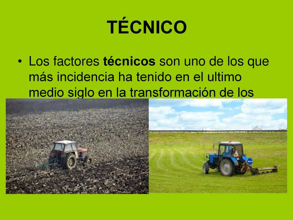 TÉCNICO Los factores técnicos son uno de los que más incidencia ha tenido en el ultimo medio siglo en la transformación de los paisajes agrarios.