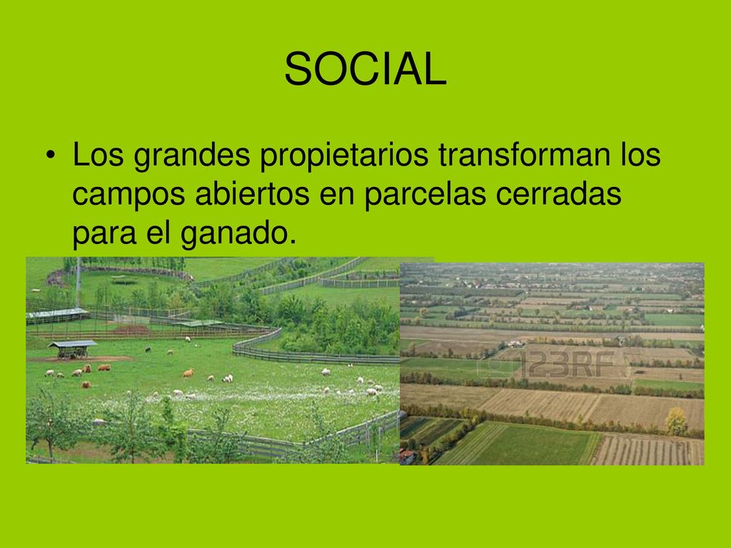 SOCIAL Los grandes propietarios transforman los campos abiertos en parcelas cerradas para el ganado.