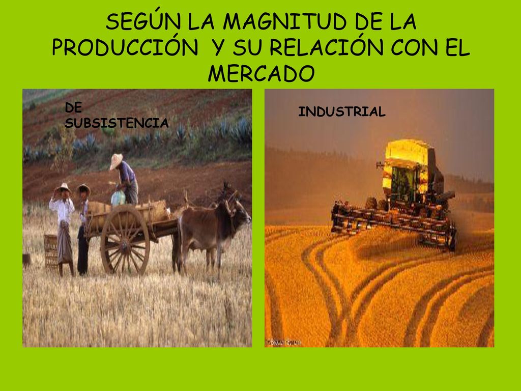SEGÚN LA MAGNITUD DE LA PRODUCCIÓN Y SU RELACIÓN CON EL MERCADO