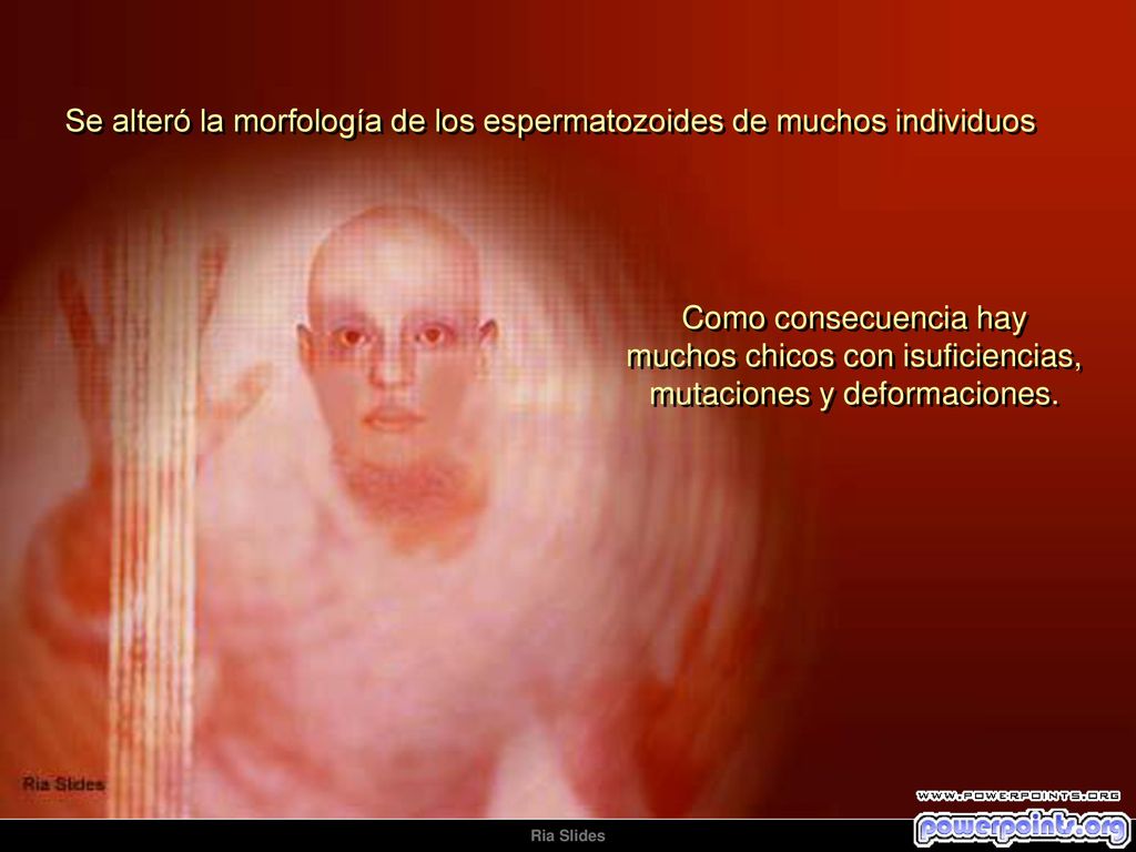 Se alteró la morfología de los espermatozoides de muchos individuos