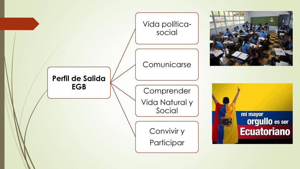 Perfil de Salida EGB Vida política-social. Comunicarse. Comprender. Vida Natural y Social. Convivir y.