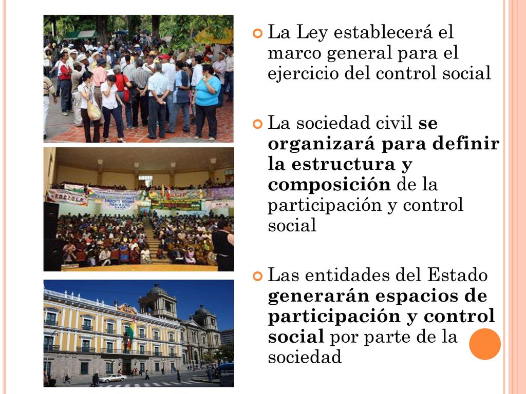 La Ley establecerá el marco general para el ejercicio del control social