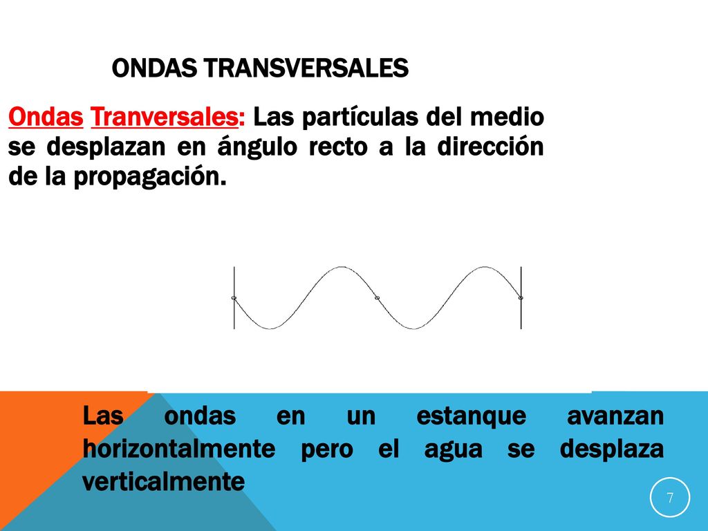 Ondas Transversales Ondas Tranversales: Las partículas del medio se desplazan en ángulo recto a la dirección de la propagación.