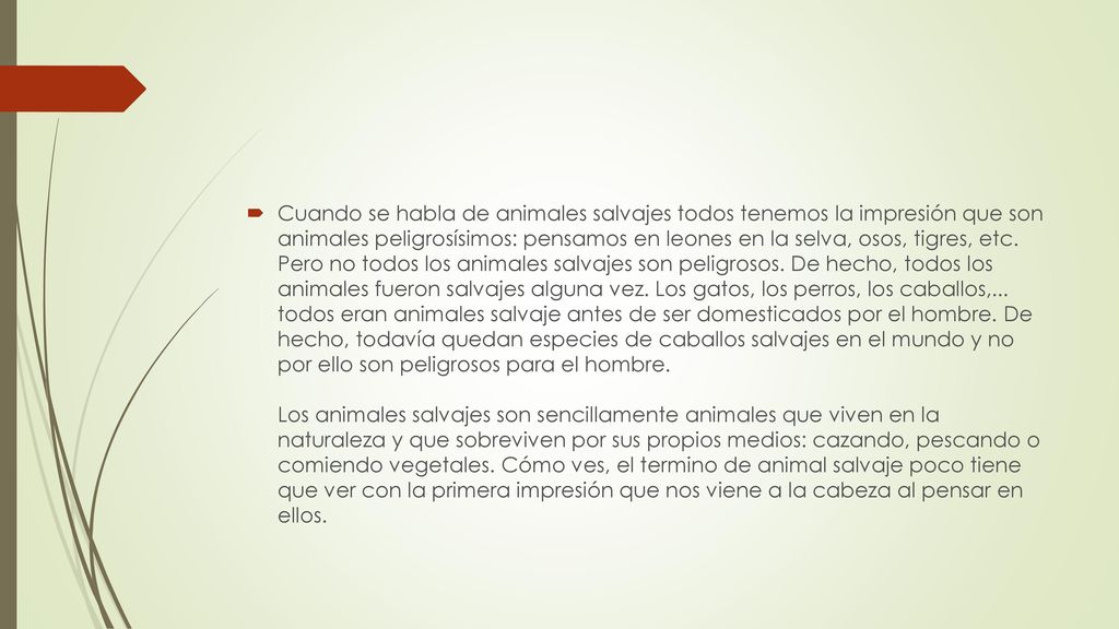 Cuando se habla de animales salvajes todos tenemos la impresión que son animales peligrosísimos: pensamos en leones en la selva, osos, tigres, etc.
