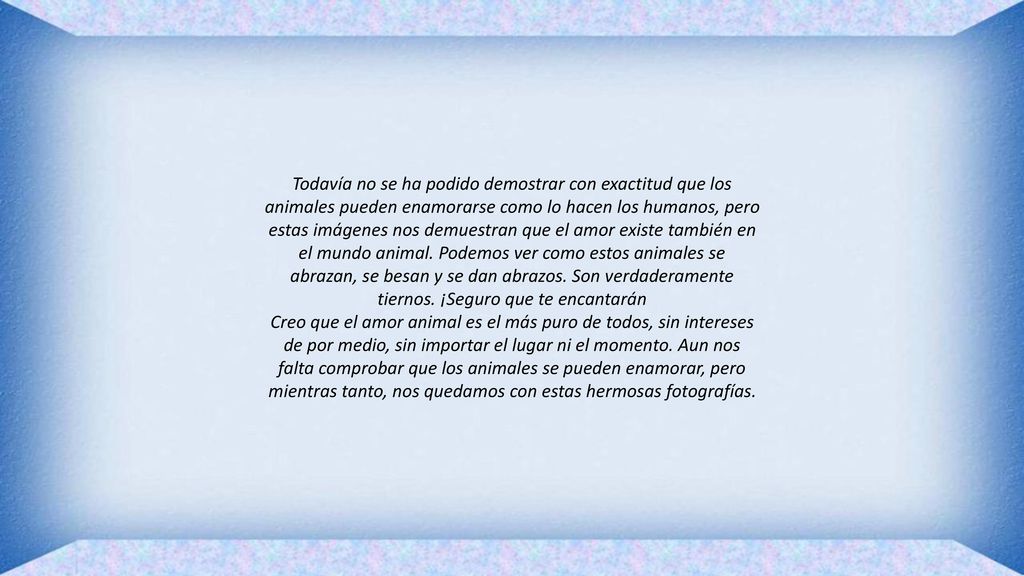 Todavía no se ha podido demostrar con exactitud que los animales pueden enamorarse como lo hacen los humanos, pero estas imágenes nos demuestran que el amor existe también en el mundo animal. Podemos ver como estos animales se abrazan, se besan y se dan abrazos. Son verdaderamente tiernos. ¡Seguro que te encantarán