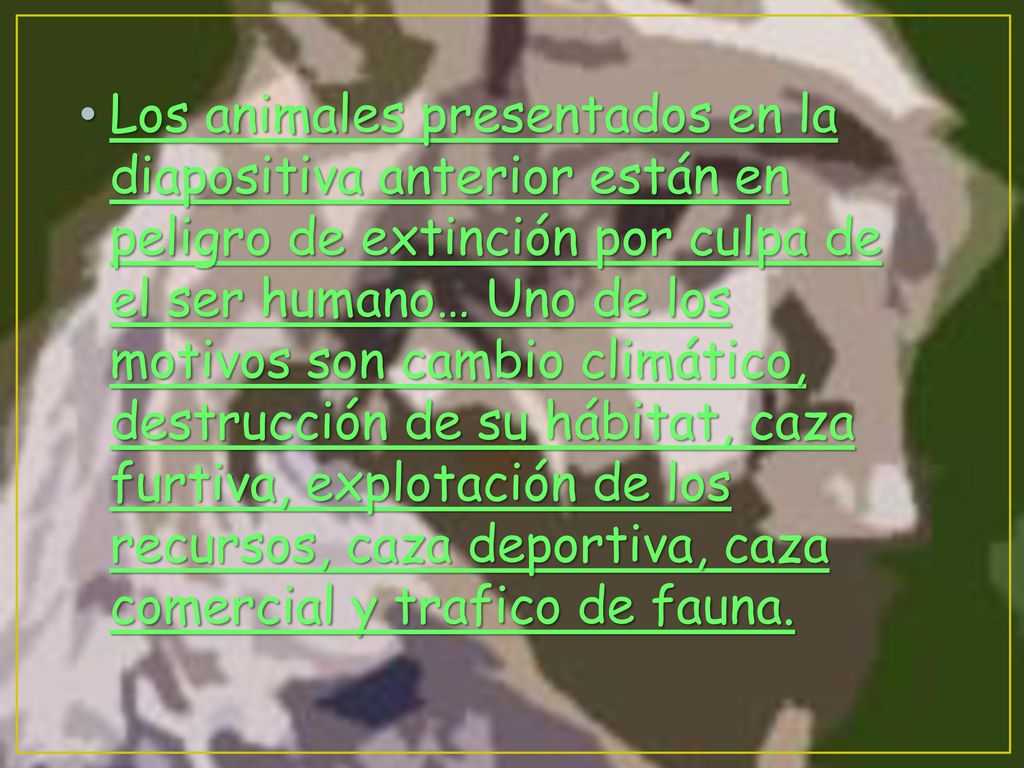 Los animales presentados en la diapositiva anterior están en peligro de extinción por culpa de el ser humano… Uno de los motivos son cambio climático, destrucción de su hábitat, caza furtiva, explotación de los recursos, caza deportiva, caza comercial y trafico de fauna.