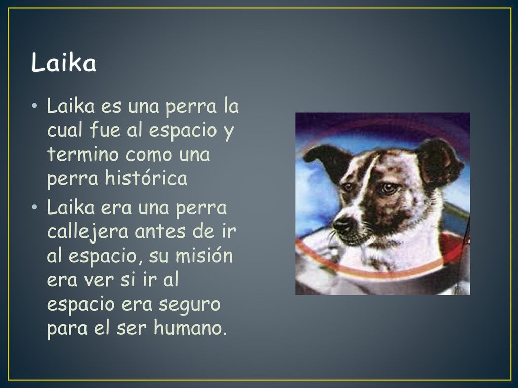 Laika Laika es una perra la cual fue al espacio y termino como una perra histórica.