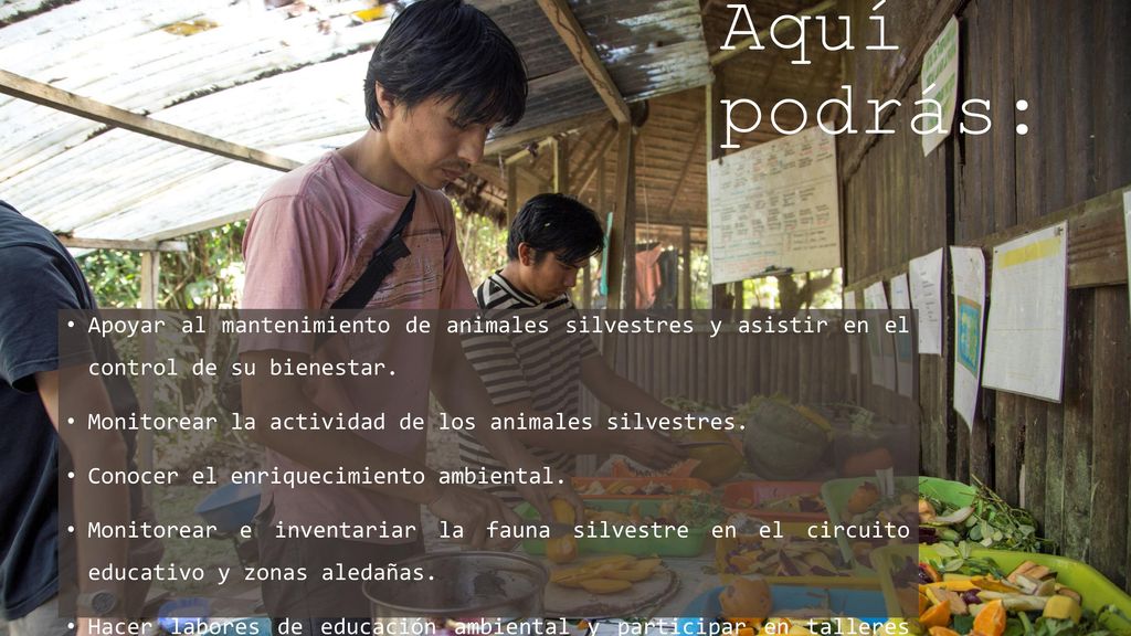 Aquí podrás: Apoyar al mantenimiento de animales silvestres y asistir en el control de su bienestar.