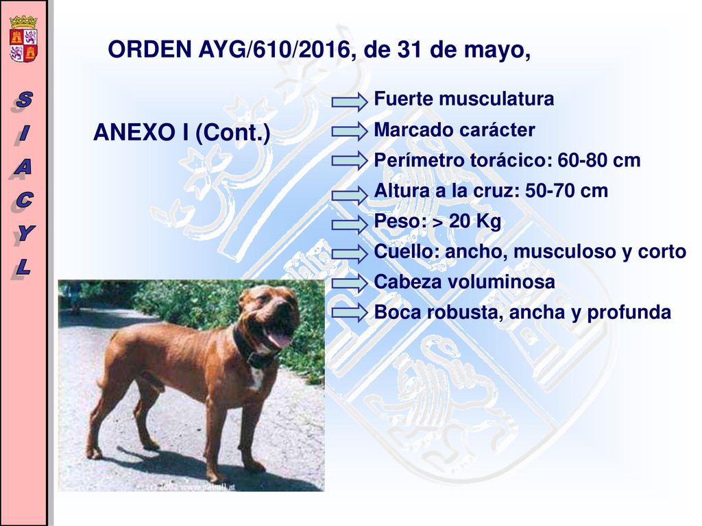 ORDEN AYG/610/2016, de 31 de mayo, Fuerte musculatura ANEXO I (Cont.)