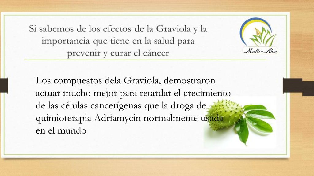 Los compuestos dela Graviola, demostraron actuar mucho mejor para retardar el crecimiento de las células cancerígenas que la droga de quimioterapia Adriamycin normalmente usada en el mundo