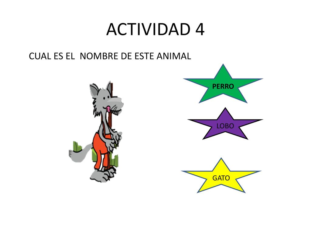 ACTIVIDAD 4 CUAL ES EL NOMBRE DE ESTE ANIMAL PERRO LOBO GATO