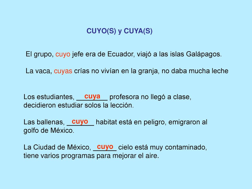CUYO(S) y CUYA(S) El grupo, cuyo jefe era de Ecuador, viajó a las islas Galápagos. La vaca, cuyas crías no vivían en la granja, no daba mucha leche.