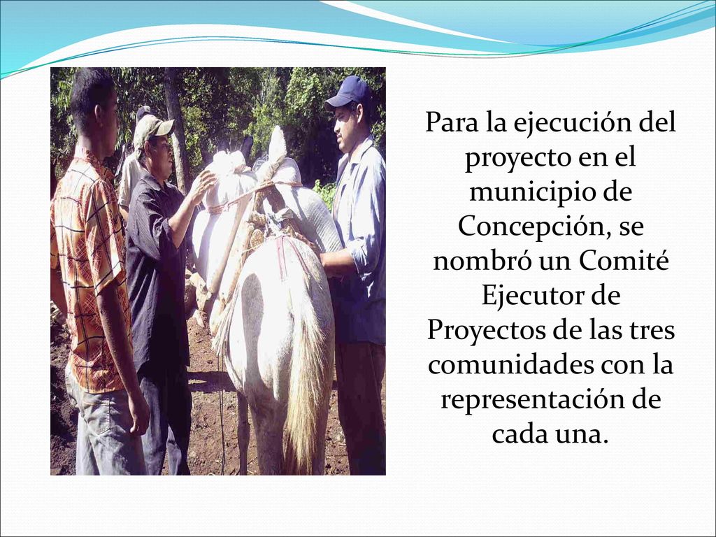 Para la ejecución del proyecto en el municipio de Concepción, se nombró un Comité Ejecutor de Proyectos de las tres comunidades con la representación de cada una.