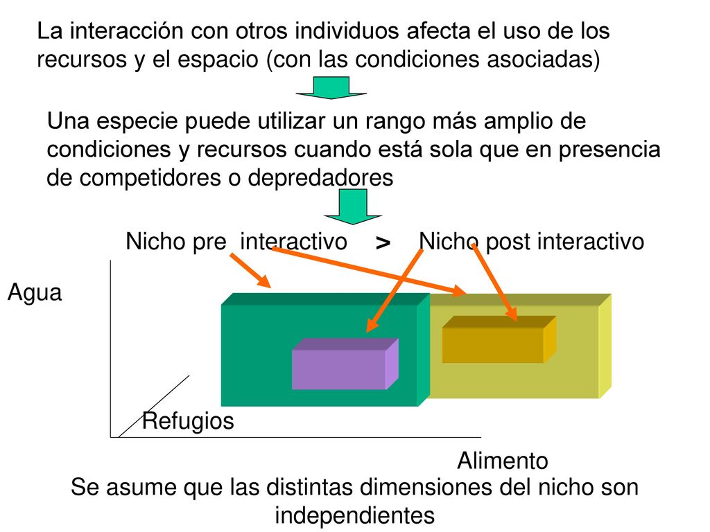 Se asume que las distintas dimensiones del nicho son independientes