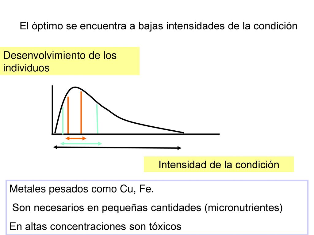 El óptimo se encuentra a bajas intensidades de la condición