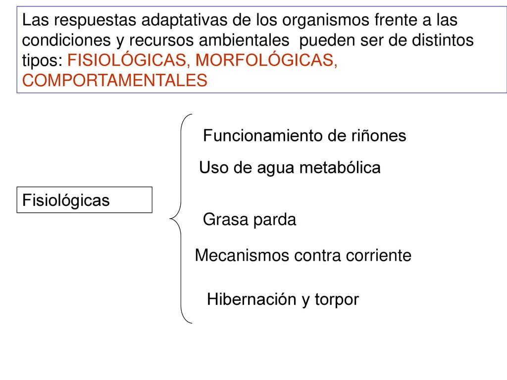 Las respuestas adaptativas de los organismos frente a las condiciones y recursos ambientales pueden ser de distintos tipos: FISIOLÓGICAS, MORFOLÓGICAS, COMPORTAMENTALES