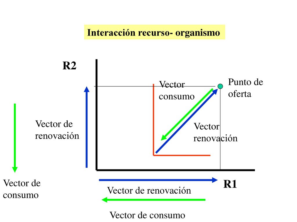 R2 R1 Interacción recurso- organismo Punto de oferta Vector consumo