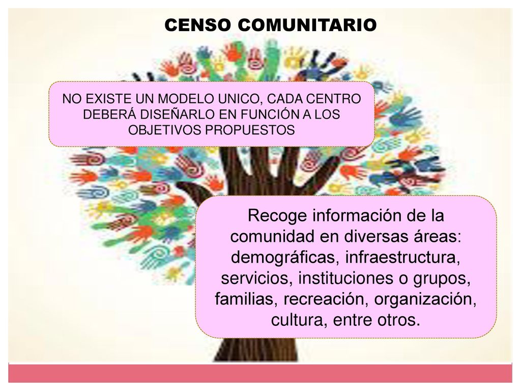 CENSO COMUNITARIO NO EXISTE UN MODELO UNICO, CADA CENTRO DEBERÁ DISEÑARLO EN FUNCIÓN A LOS OBJETIVOS PROPUESTOS.