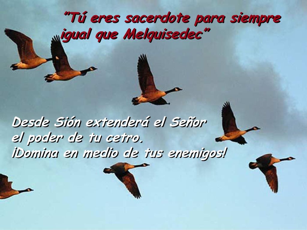 Desde Sión extenderá el Señor el poder de tu cetro.