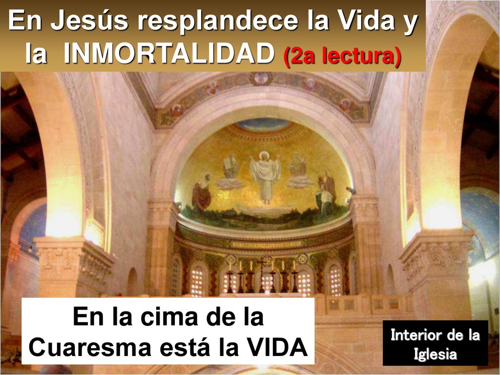 En Jesús resplandece la Vida y la INMORTALIDAD (2a lectura)