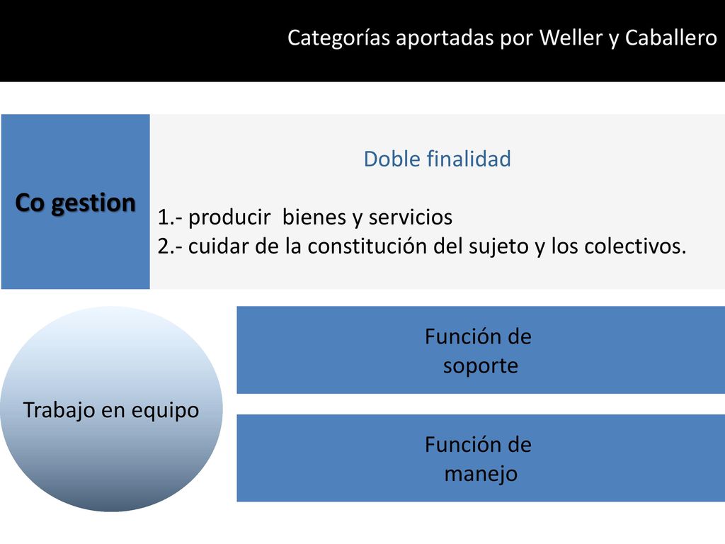 Co gestion Categorías aportadas por Weller y Caballero Doble finalidad